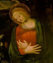 La Madonna